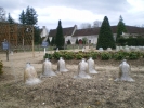 IMGP0861.jpg