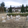 IMGP0861.jpg