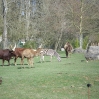IMGP0902.jpg
