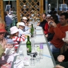 IMGP0087.jpg
