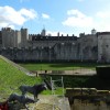 DSCN0146