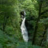 DSCN0650