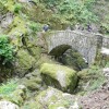 DSCN0662