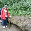 DSCN0663