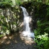 DSCN0682