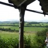 DSCN0733