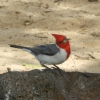 DSCN1101.jpg