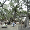 DSCN1153.jpg