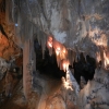 DSCN1464