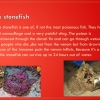 Slide3
