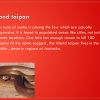 Slide4