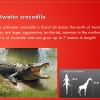 Slide6