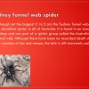 Slide7