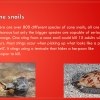 Slide8
