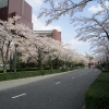 CIG_IMG003