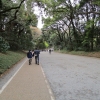 CIG_IMG014
