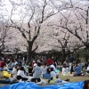 CIG_IMG024