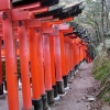 CIG_IMG011