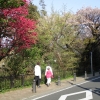 CIG_IMG017