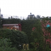 CIG_IMG029