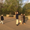 Re-Hyde Park, mais plus chics