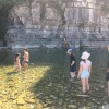IMG_3889