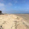 IMG_5082