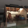 IMG_5191