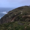 IMG_5594