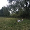 IMG_6318