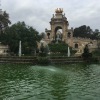 IMG_6484