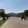 IMG_0488