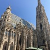 IMG_0500
