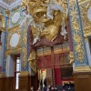 IMG_0430