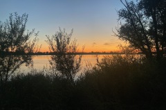 IMG_4504