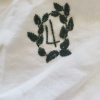 imgg11