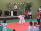 201101-judo2