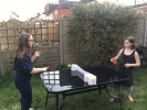 20200428-pingpong