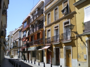 IMGP0066.jpg