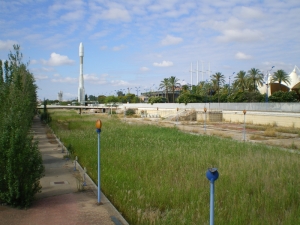 IMGP0130.jpg