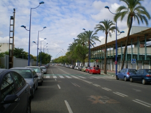 IMGP0138.jpg