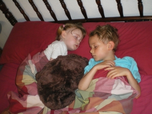 IMGP0147.jpg