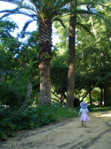 IMGP0153.jpg