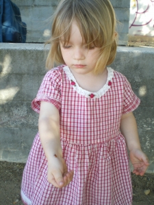 IMGP0191.jpg