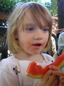 IMGP0246.jpg