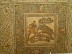 IMGP0255.jpg