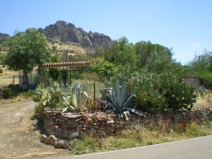 IMGP0283.jpg