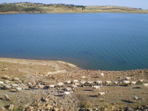 IMGP0292.jpg