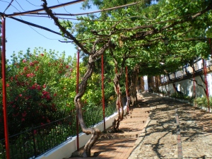 IMGP0298.jpg