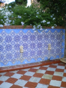 IMGP0303.jpg